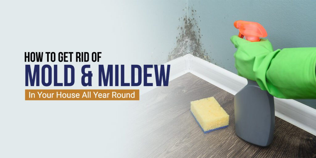 How To Get Rid Of Mold & Mildew In Your House All Year Round