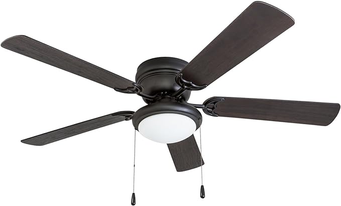 Ceiling fan: Low profile, dimmable light, reversible motor, dual finish blades.






