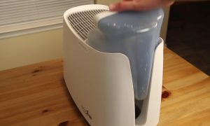 Honeywell Humidifier Not Working How To Reset It.