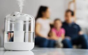 What Type of Water You Should Use In a Humidifier?