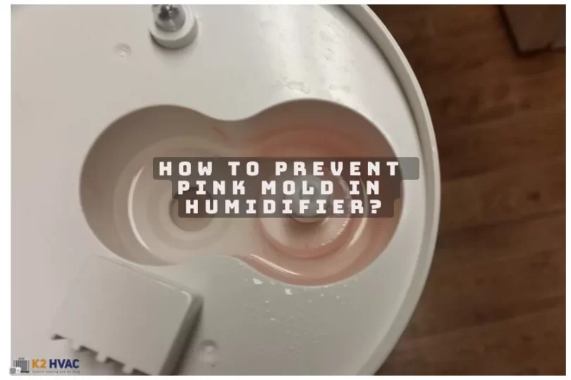 How To Prevent Pink Mold in Humidifier